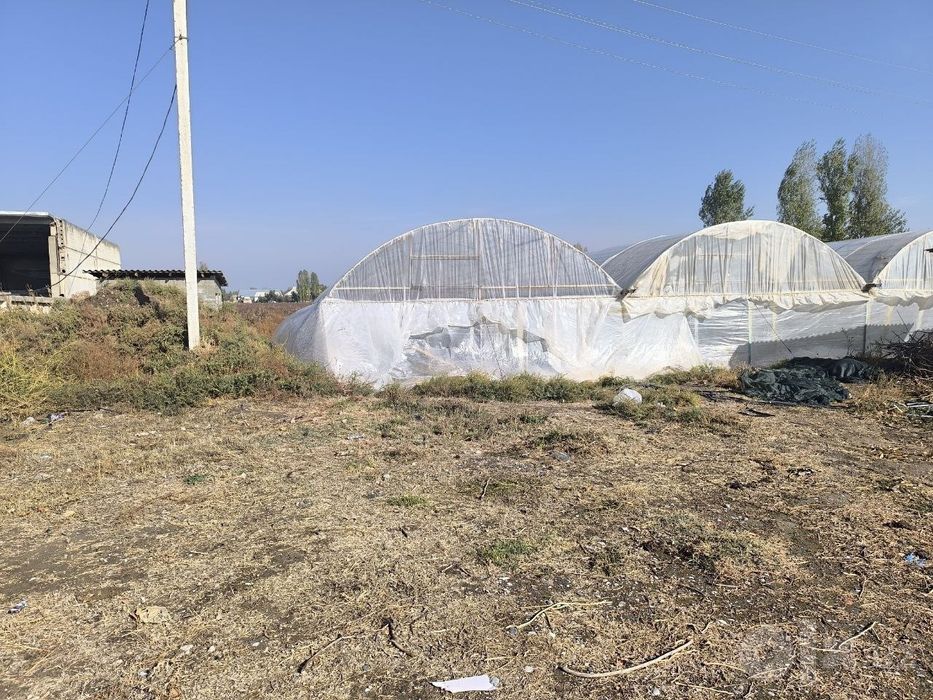 Noturar yer sotiladi Bekobod tumani Nazarboy MFY 30 sotix
Bekobod tuma