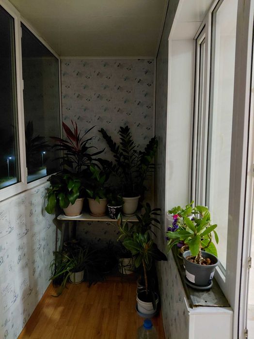 Недвижимость , обмен квартиры