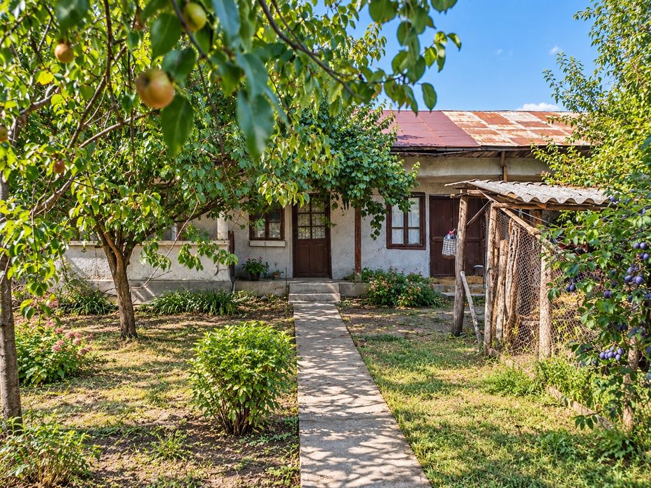 Teren 2.774 mp + casă, central Cetatea Giurgiu, deschidere 20 m
