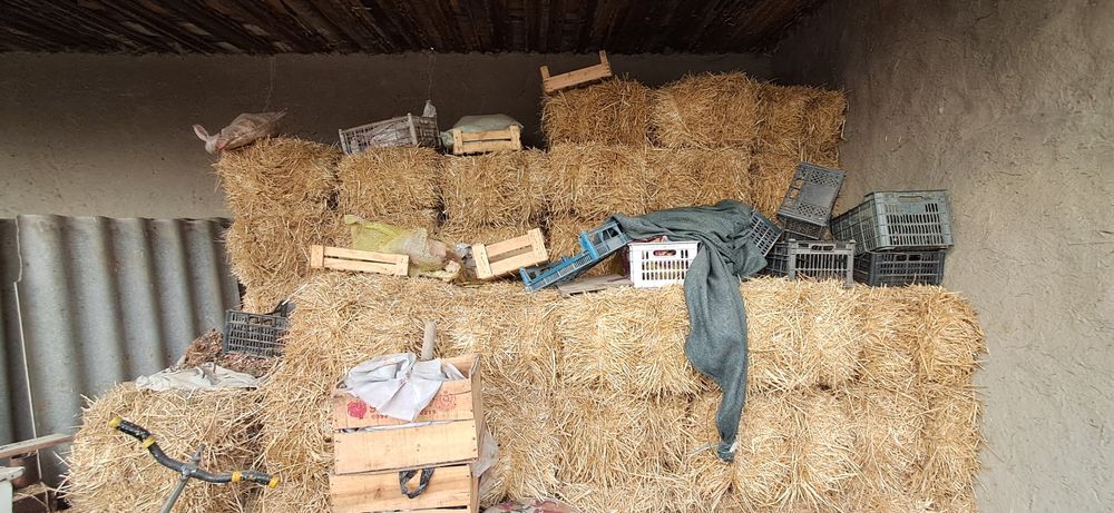 Samon peres sotilade