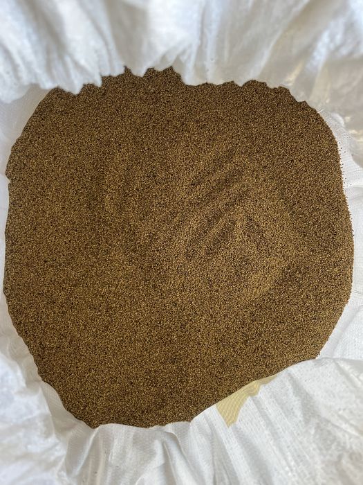 жоңышқа ұрық  (люцерна)