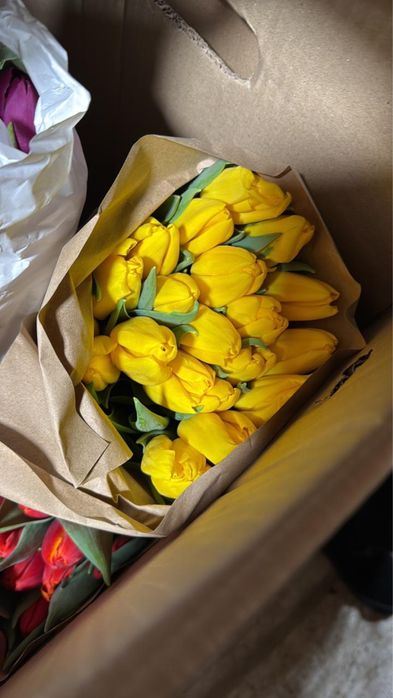 Продам опт тюльпаны балхаш