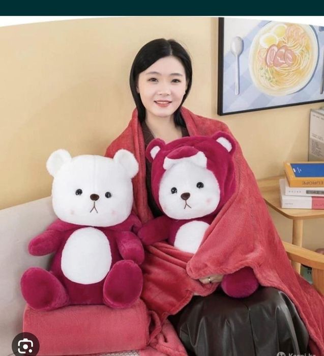 Мишки с пледом 3в1