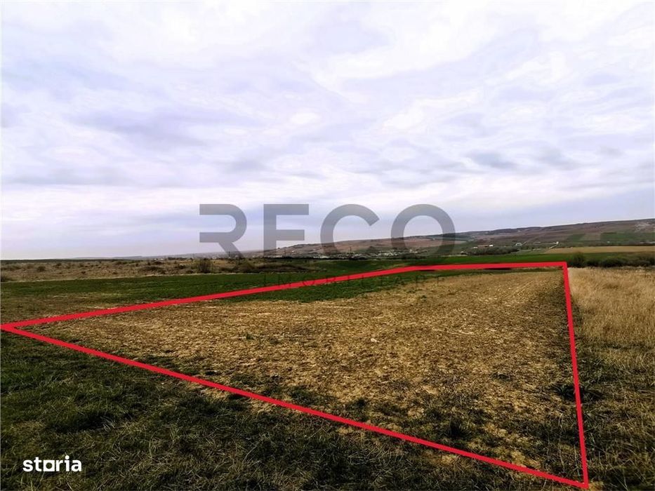RECO Teren mare extravilan in Uileacu de Munte
