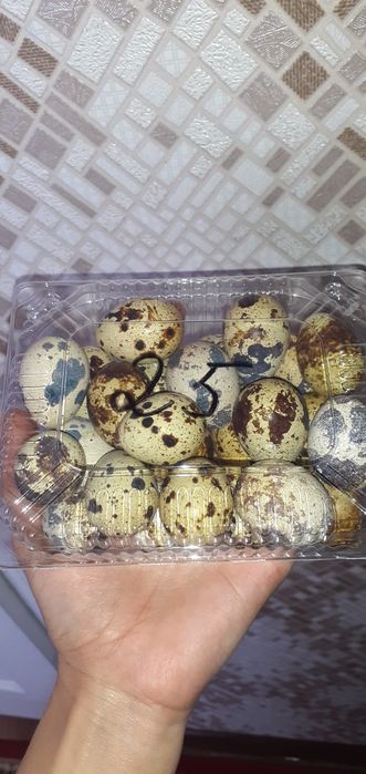 Перепелиное мясо,яйцо