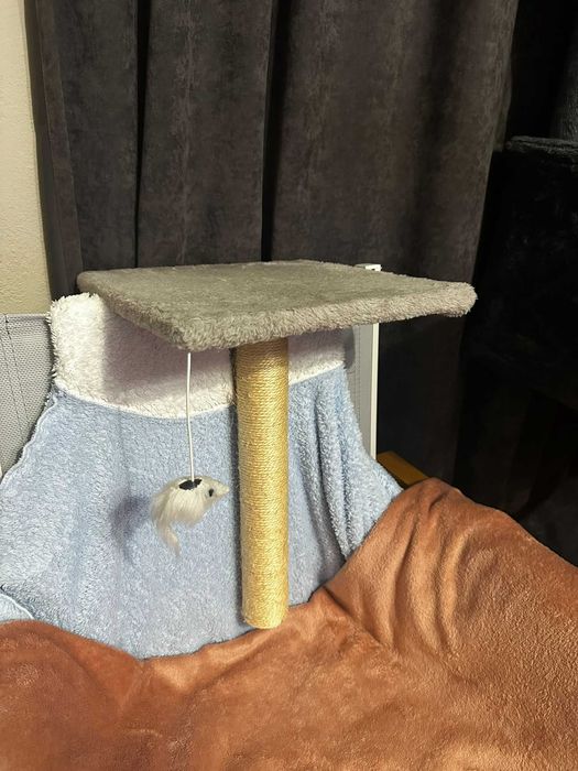 Катерушка за котки