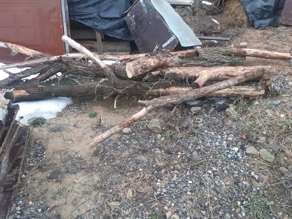 Дрова, отындар сатылады