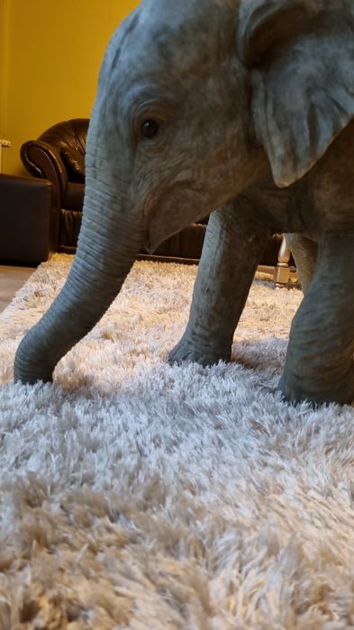 elefant fibra fibra de sticla si compozit