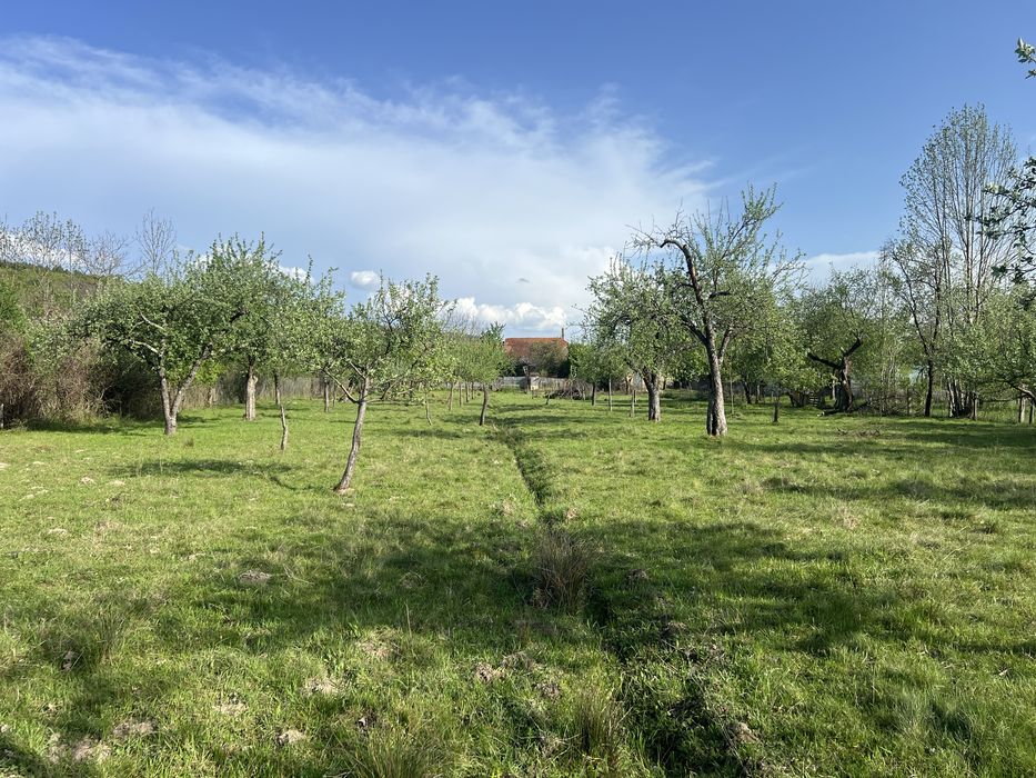 case la tara + teren de 13.000 mp