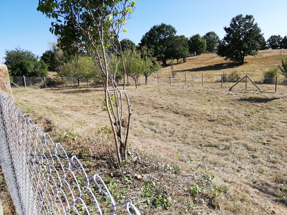 Изграждане на огради с циментови колове и поцинкована мрежа