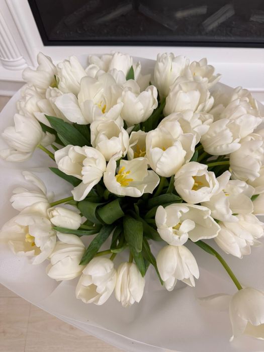 Продам тюльпаны и розы,цена договорная