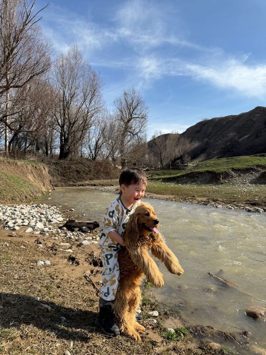 Руский спанель еркек