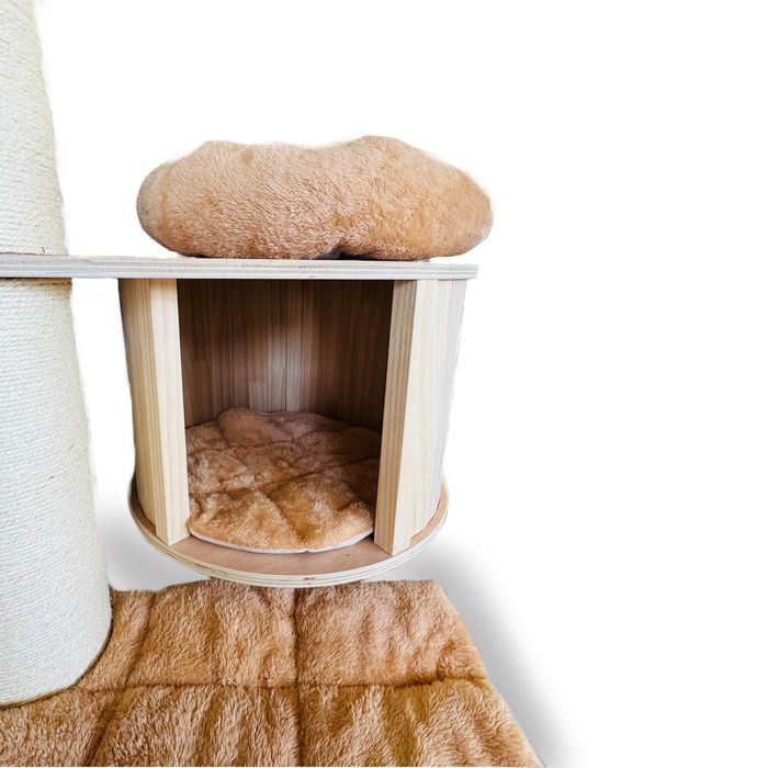 Голяма котешка катерушка - Мейн Куун