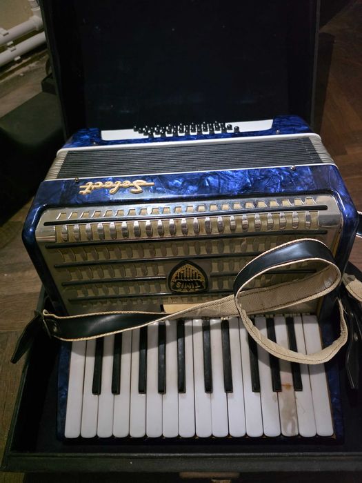 Acordeon romanesc Timis Select