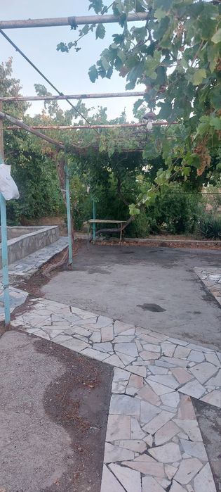 Дала ховли сотилади