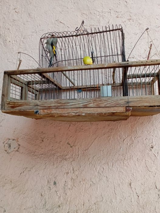 Сава сотилади йахши