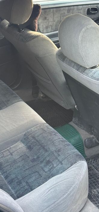 Мазда 626 птичка