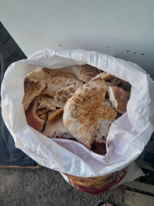 Капкан нан сатылады