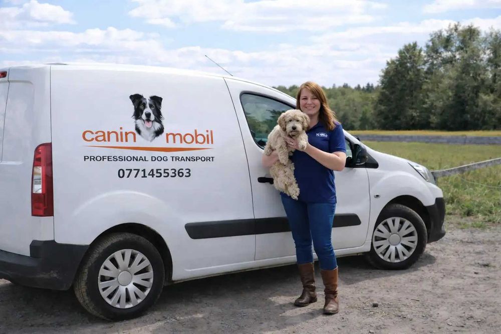 Transport câini București / Ilfov – CaninMobil