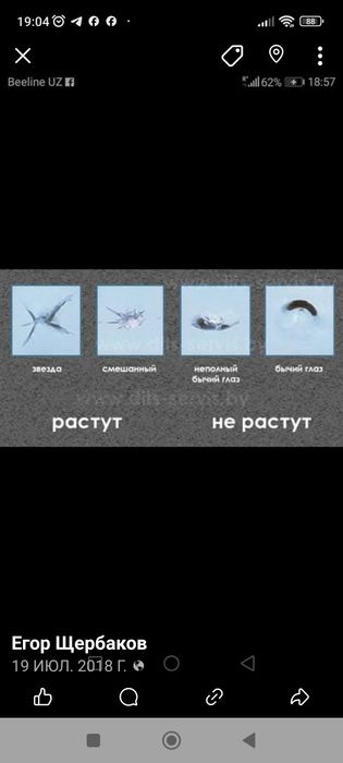 Ремонт лобовых автостёкол