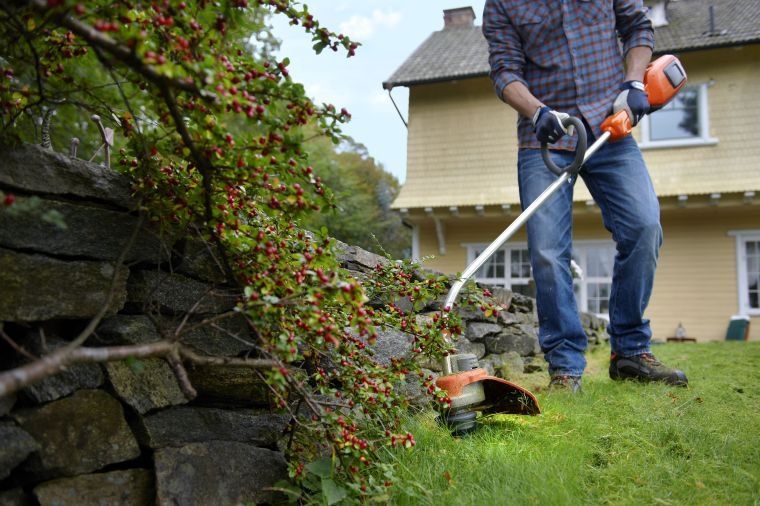 Tund cosesc iarba în Timișoara și împrejurimi