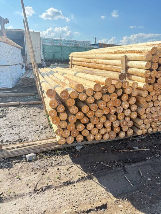 To'sin, o'ptom/dona, turli xil razmer, arzon narxlarda, dastavka bo
