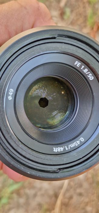 Sony FE 50mm F/1.8