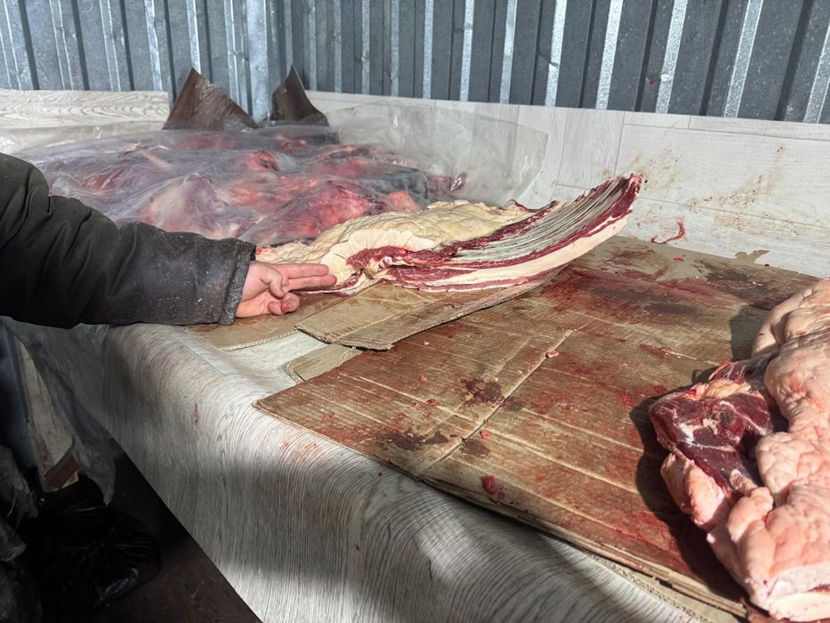 Продаём мясо конины