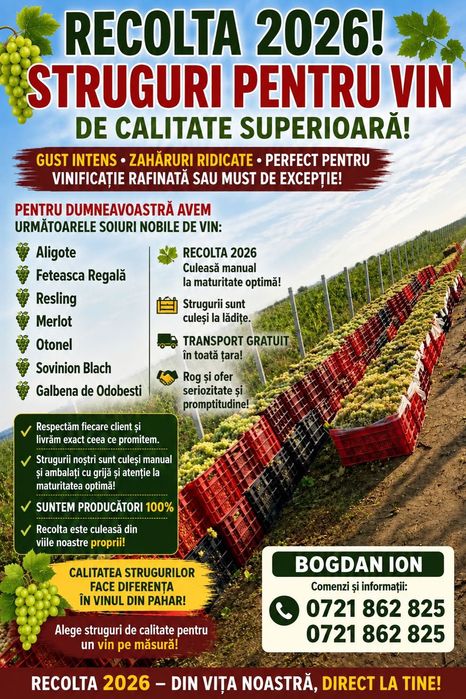 Struguri de vin