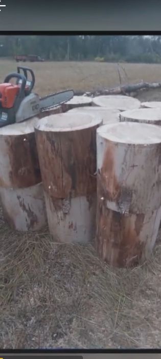 Продам дрова. Ветлы,Осина, Тополь.