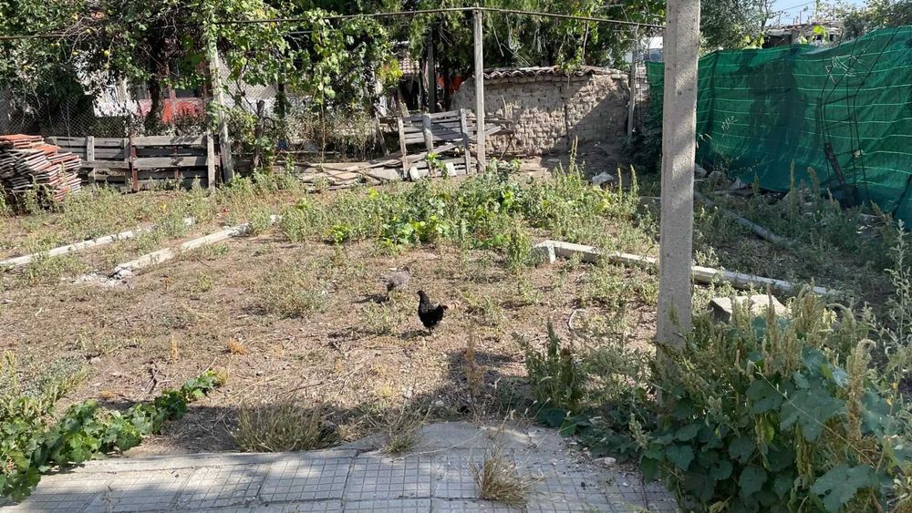 Продава се Къща в с. Цалапица, Област Пловдив - 1276 кв.м за 22 €/кв.м - Снимка #1