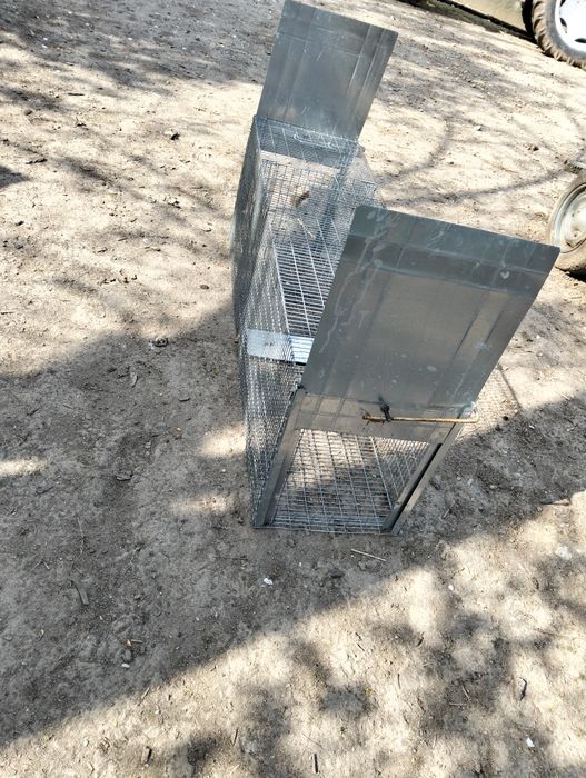 Vând cursa pentru vulpi,fazani,etc,,