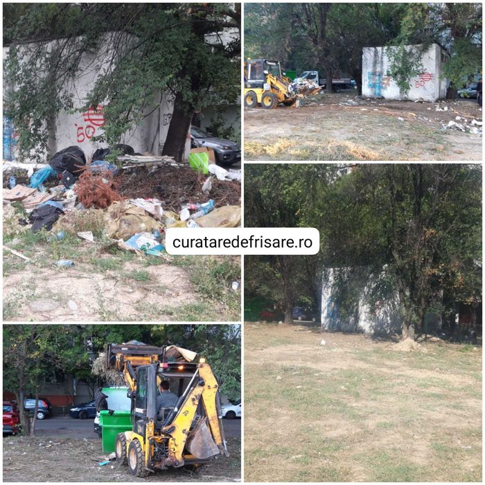 Curatare teren ambrozie, defrisari, tocare iarba si crengi, igienizare