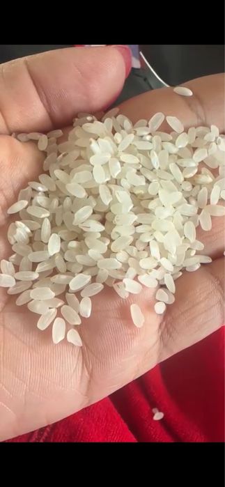 Акталган куриш (рис) сатылады