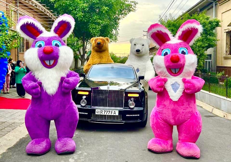 Raddomga Ayiq Teddiy quyon 150.000 so’mdan