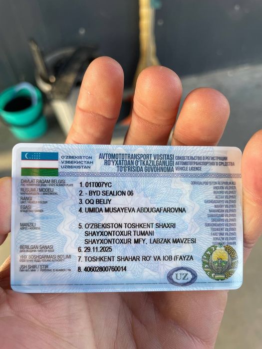 Byd seallion 06 alo holatida