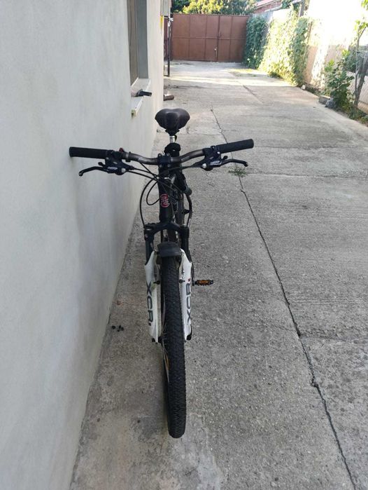 Bicicleta, MTB Focus