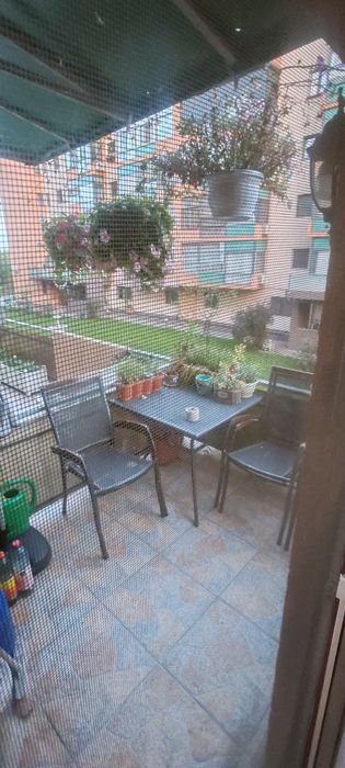 Apartament 3 camere