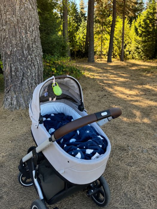 CYBEX Balios S 2в1