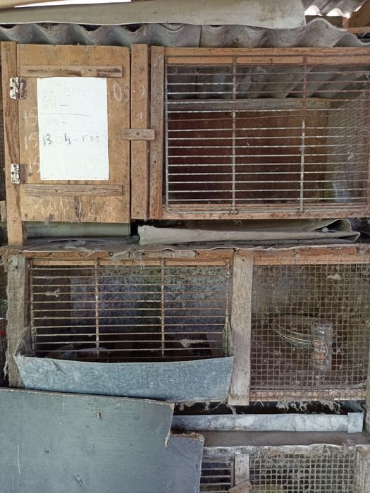 Крольчатники самодельные