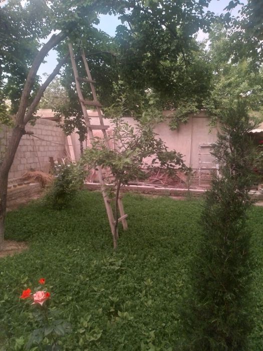 Xorazm xiva shahrida qosmada