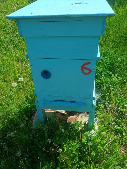 Кошери за пчели 10бр.