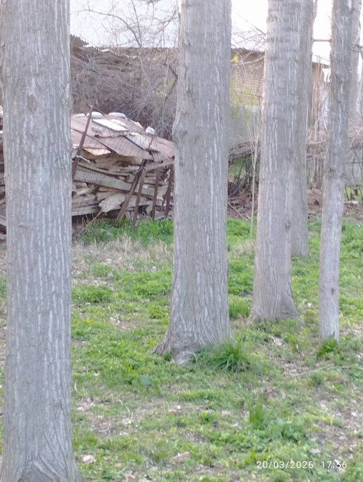 Teraklar sotiladi 8 dona