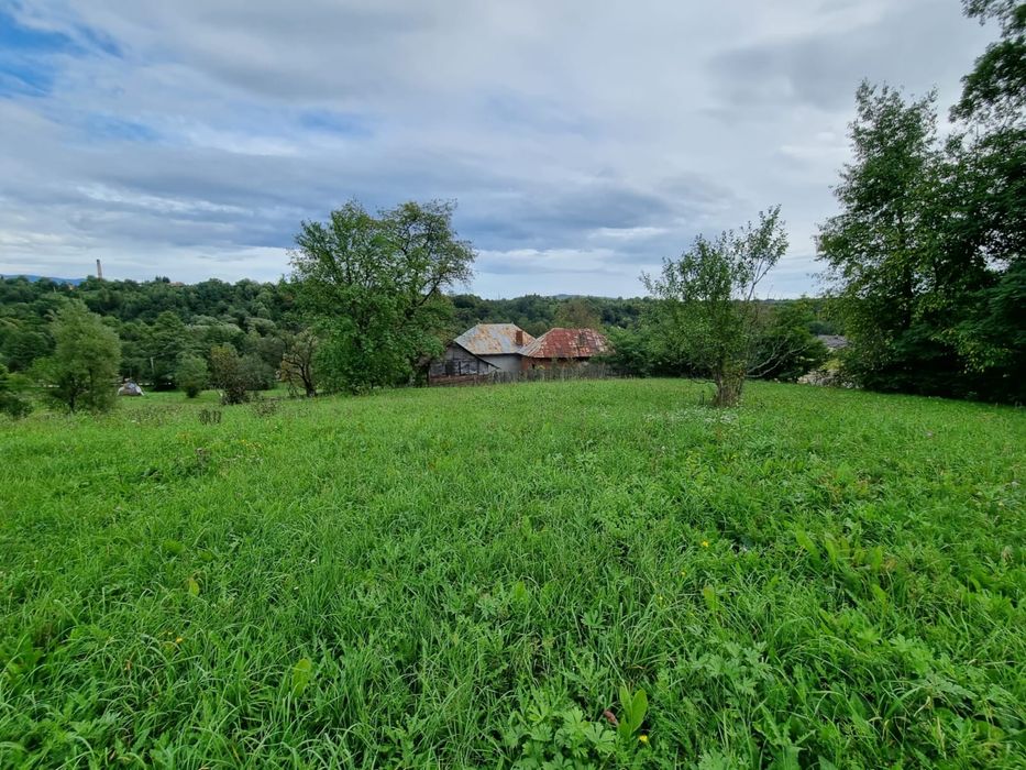 Vand teren intravilan Bughea de Sus 8600mp