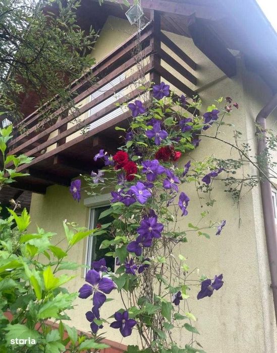 Teren intravilan, 4500 mp, casa de vacanta, in Baciu, zona Sun Garden