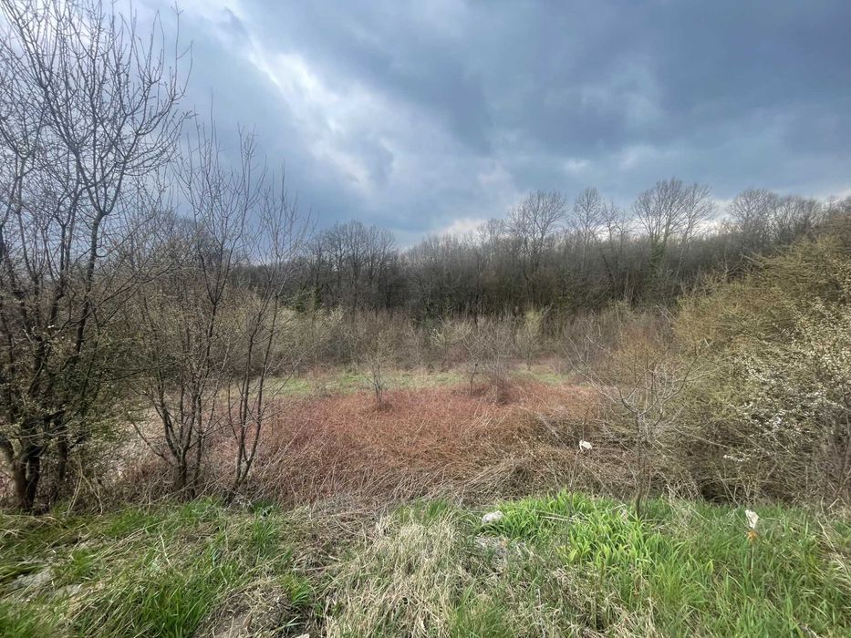 Парцел в село   Донино