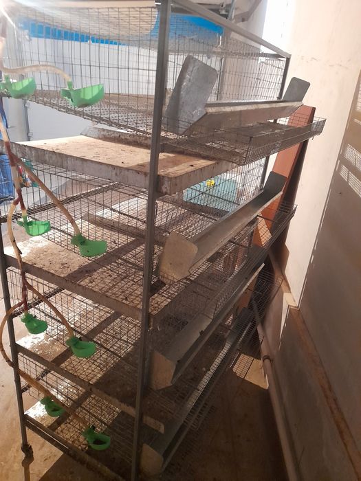 Сетка для перепелок 1 шт.