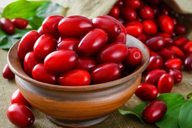 Coarne de vinzare fructe de padure