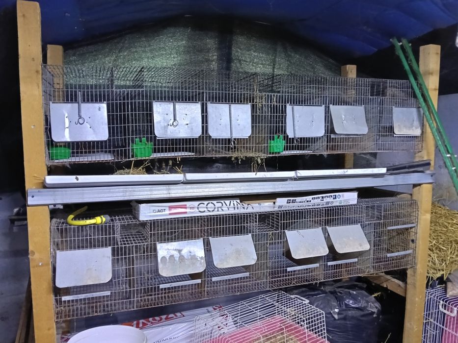 Cuști pentru iepuri talie mijlocie și mică