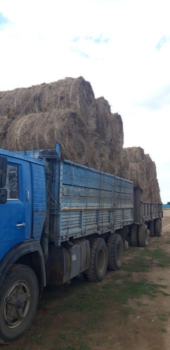 Продам Сено тюкой